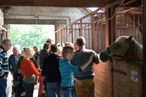 Excursie Paardenmelkerij de Lage Wierde