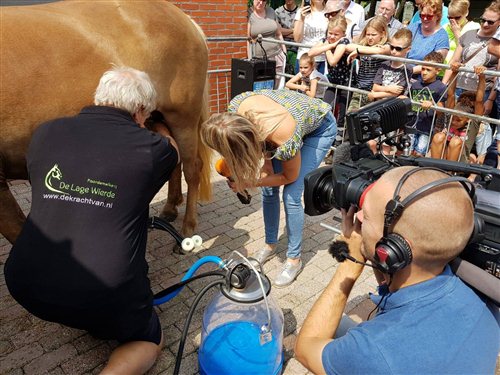 paardenmelk-kopen-bestellen